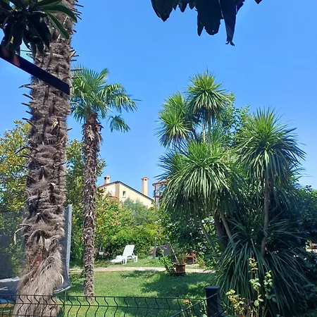 Odak App Rovinj